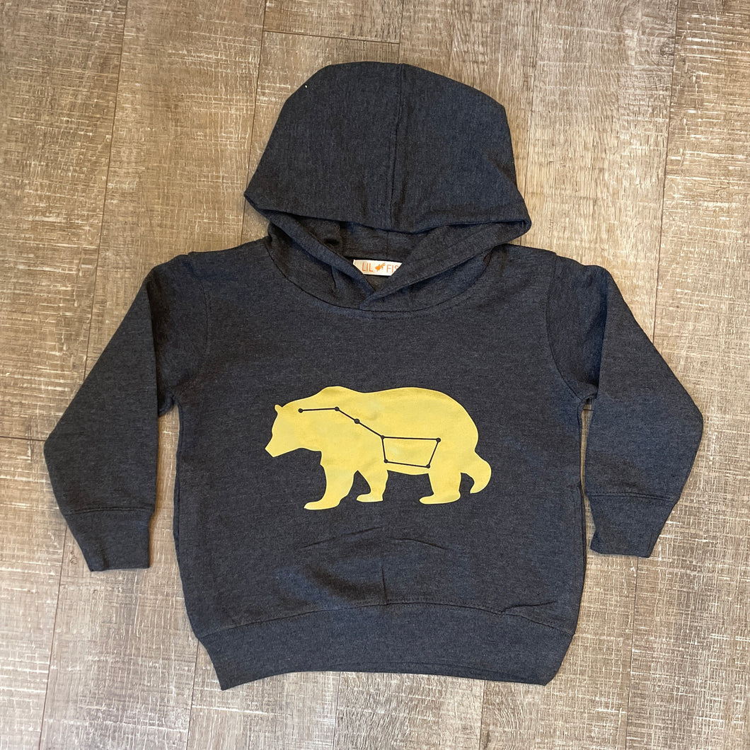 hoodies - bear